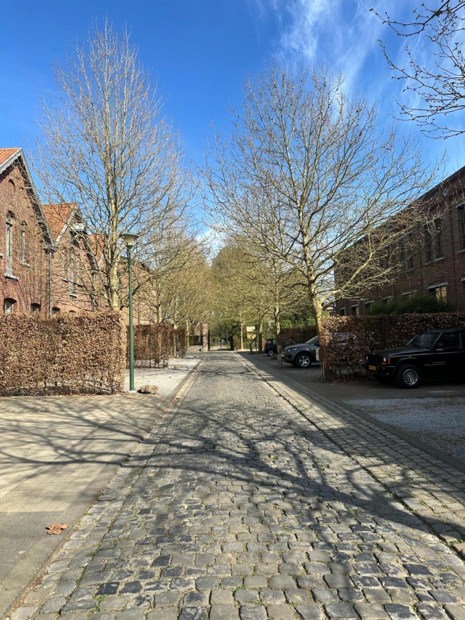 Vakantiewoning Waag Rekem 外观 照片